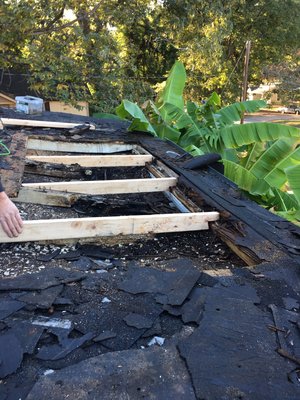 Carey's Roofing Logo