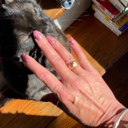 Elite Nail Spa - Cat approved!