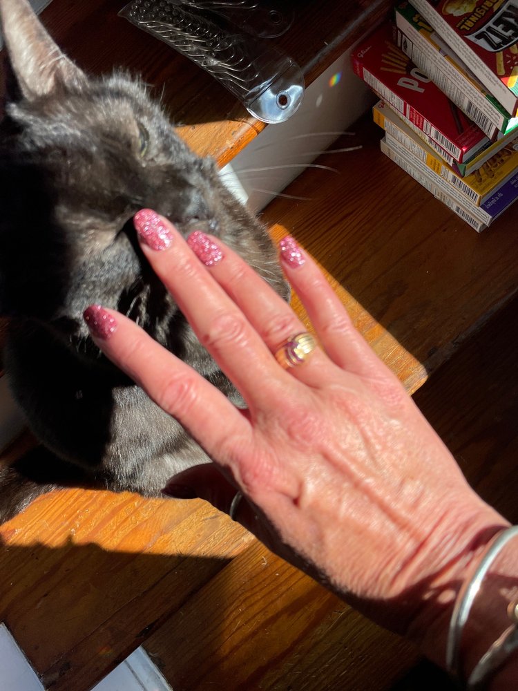 ELITE NAIL SPA Updated October 2024 19 Photos & 28 Reviews 20