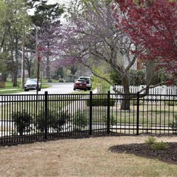Privacy Fence