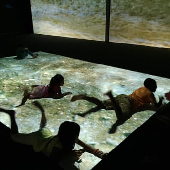 Bishop Museum - Swimming with the Sharks at the current rotating exhibit - Museums Near Me - Honolulu, Hawaii