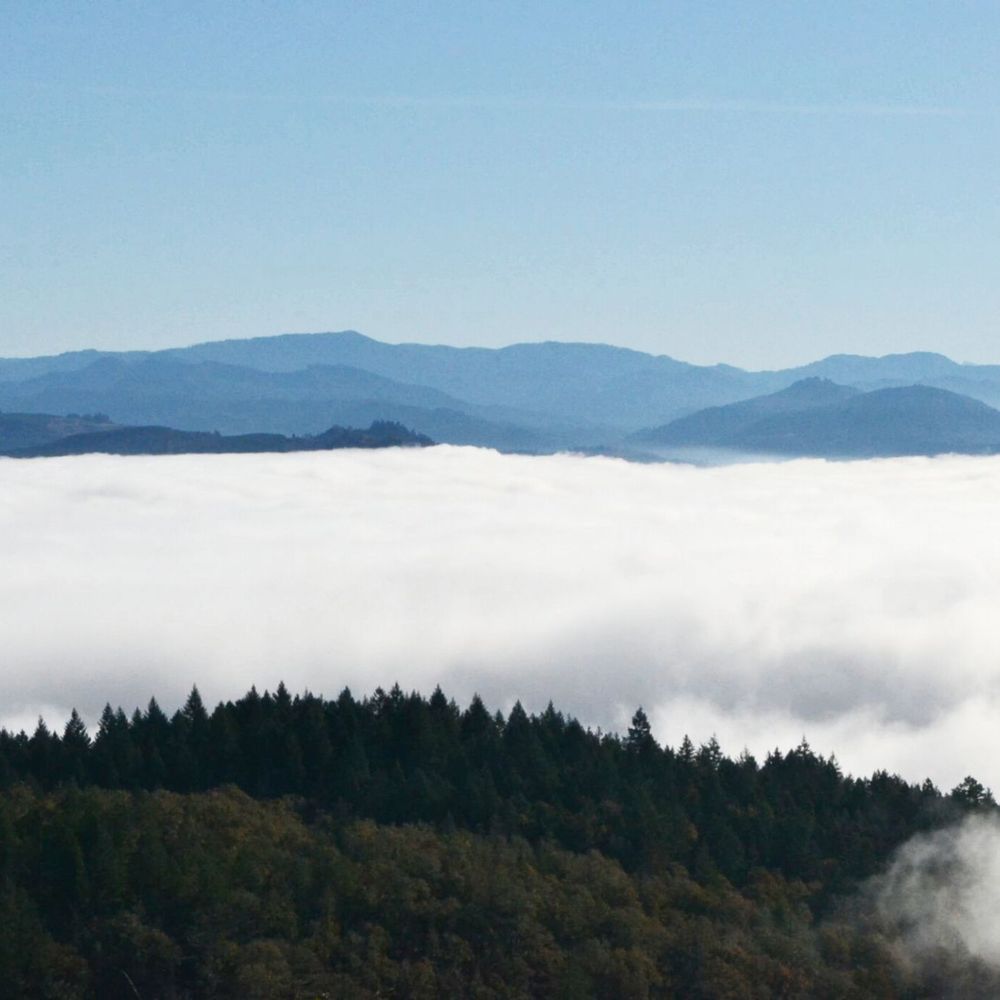 Mount Pisgah Arboretum - Above the Eugene clouds, November 2018 - Venues & Event Spaces Near Me - Eugene, Oregon Mount Pisgah Arboretum - Above the Eugene clouds, November 2018 - Venues & Event Spaces Near Me - Eugene, Oregon