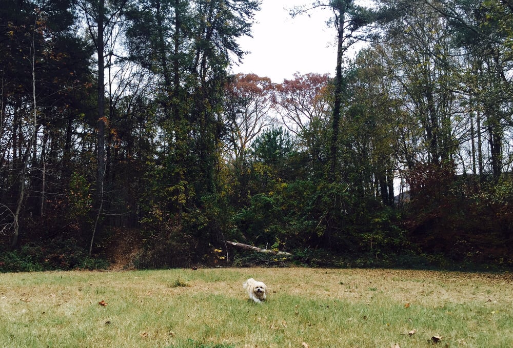 Marcus Autism Center - Atlanta - sleep specialist in Atlanta, GA