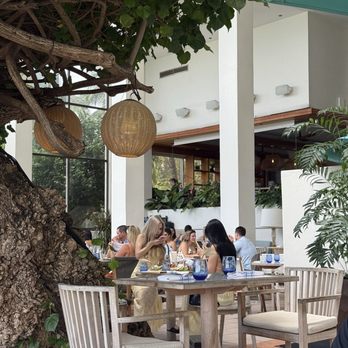 Hau Tree - Dining area - Seafood Near Me - Honolulu, Hawaii