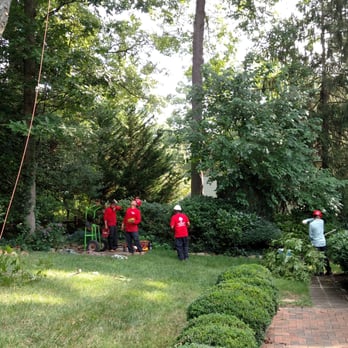 G&V Tree Service - Tree Services Near Me - Springfield, Virginia G&V Tree Service - Tree Services Near Me - Springfield, Virginia