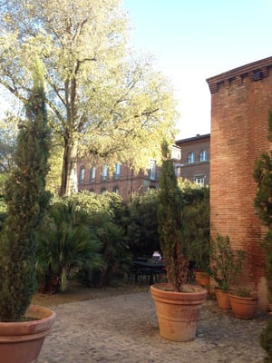 Musée Saint-Raymond by null