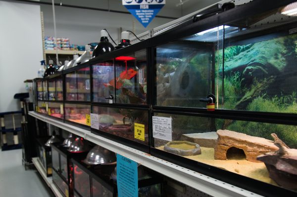 FEEDERS PET SUPPLY - Updated April 2026 - 18 Photos - 6201 W Saginaw ...