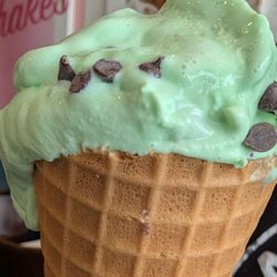 Mint Chocolate Chip Ice Cream in a Waffle Cone