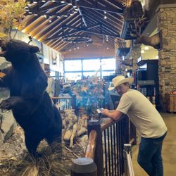 Cabela's - Bear