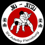 Photo of Jiu-Jitsu im SV Adelby