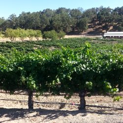 Cypher Winery