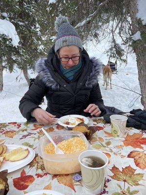 Jackson Hole Iditarod Sled Dog Tours by null