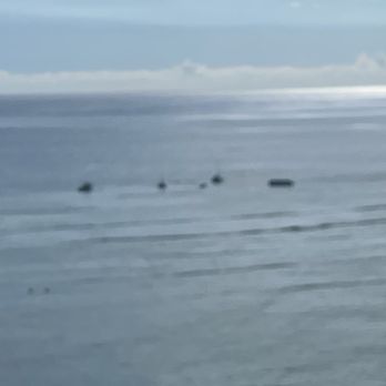 Charter Oahu - View of Turtle watching area from our hotel Sheraton Waikiki!! - Boat Charters Near Me - Honolulu, Hawaii