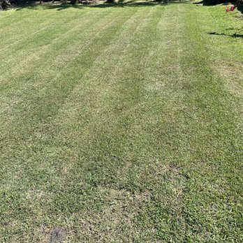 Door & Doors - Freshly serviced front yard by Door & Doors. - Handyman Near Me Door & Doors - Freshly serviced front yard by Door & Doors. - Handyman Near Me