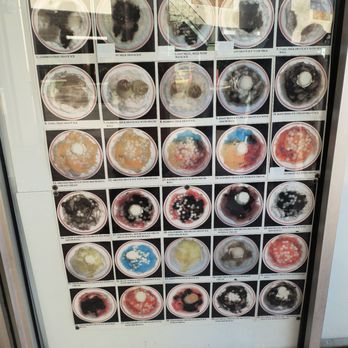 Ice Garden - Desserts Near Me - Aiea, Hawaii