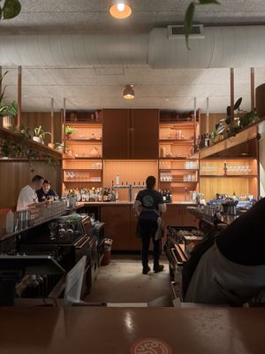 Gufo by null