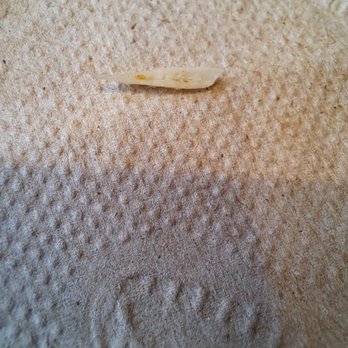 McDonald's - a toothbrush on the carpet - Fast Food Near Me - Syracuse, New York McDonald's - a toothbrush on the carpet - Fast Food Near Me - Syracuse, New York