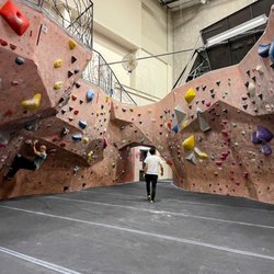 Movement - Rockville - Bouldering area