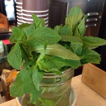 Philz Coffee - Fresh mint - Coffee & Tea Near Me - Sunnyvale, California Philz Coffee - Fresh mint - Coffee & Tea Near Me - Sunnyvale, California
