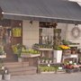 Photo of Winther Blomst
