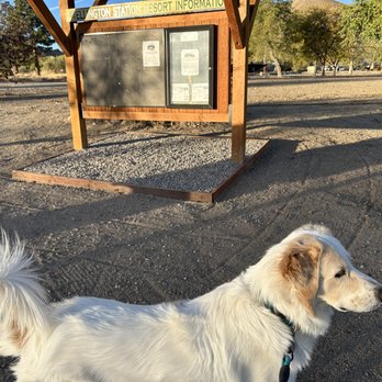 Wellington Station Resort - Park dog says come join us! - RV Parks Near Me - Wellington, Nevada Wellington Station Resort - Park dog says come join us! - RV Parks Near Me - Wellington, Nevada