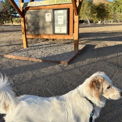 Wellington Station Resort - Park dog says come join us!