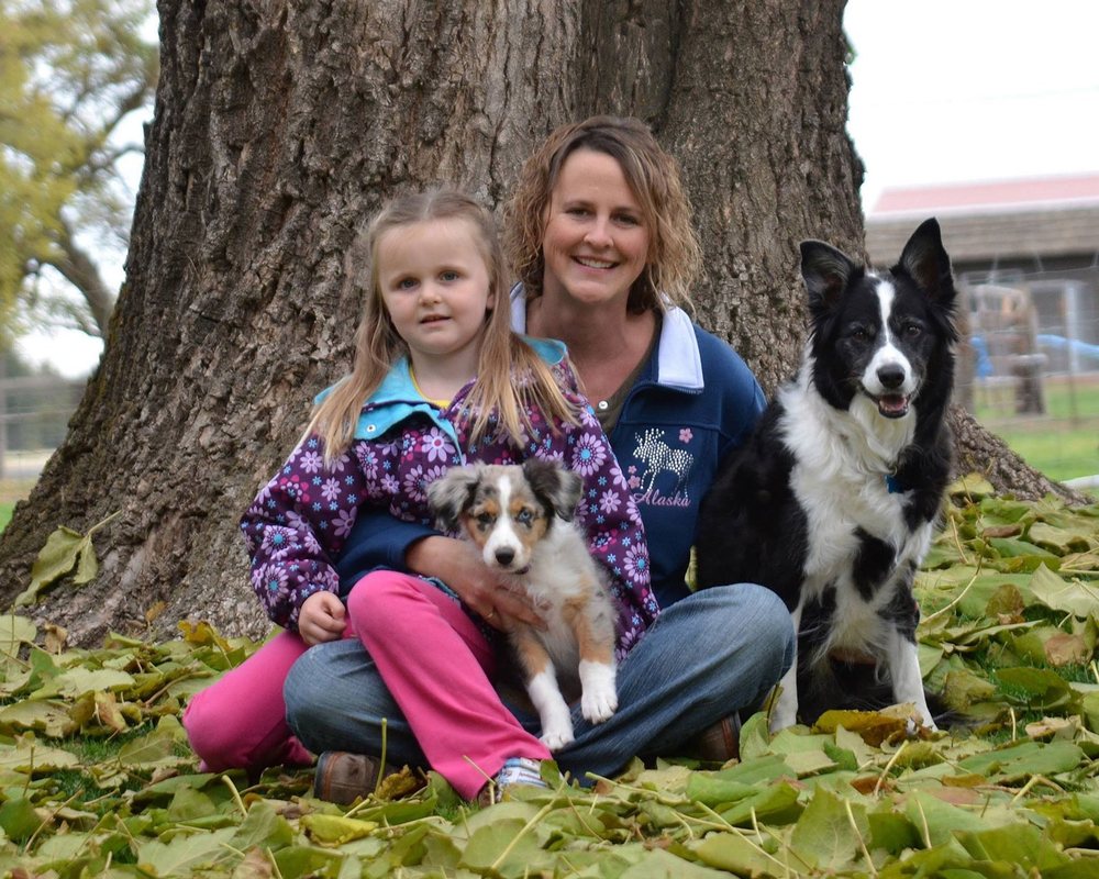 JENEE’S FOUR PAWS RESORT Updated October 2024 11 Photos 1051