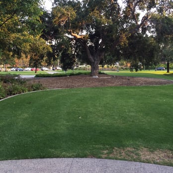 Bill Barber Community Park - Large tree - Parks Near Me - Irvine, California Bill Barber Community Park - Large tree - Parks Near Me - Irvine, California