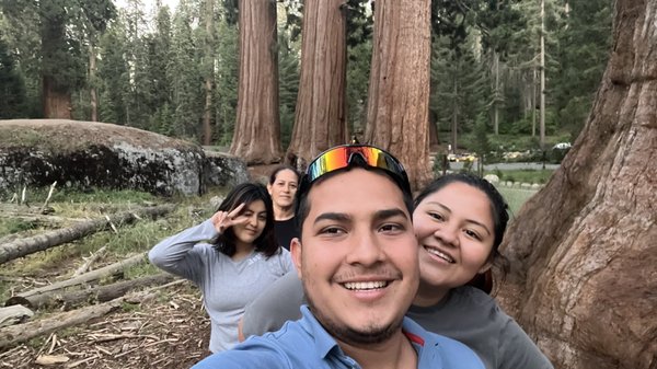 Giant Forest Museum by null