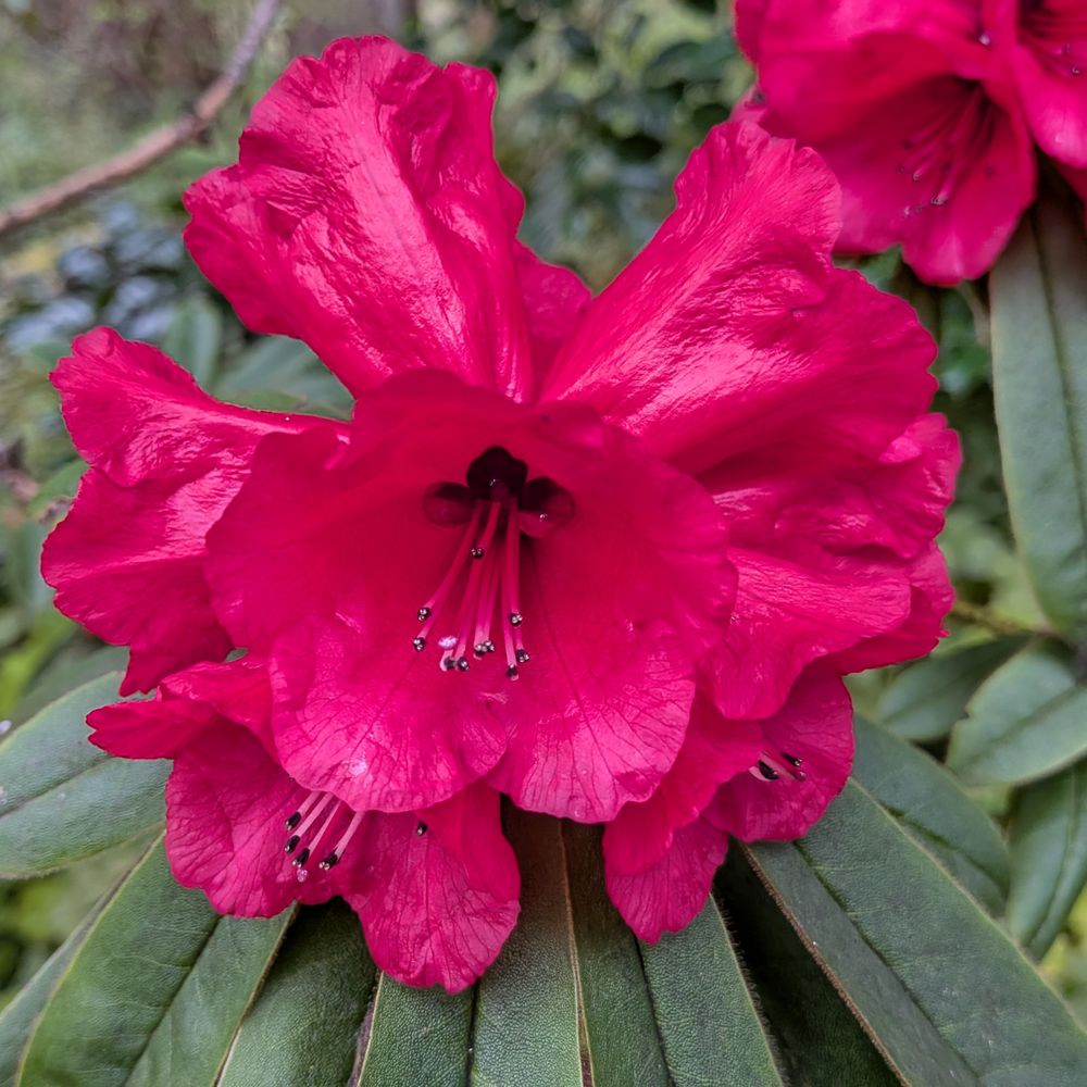 Leach Botanical Garden - Botanical Gardens Near Me - Portland, Oregon