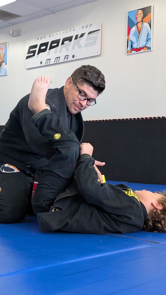 Sparks Martial Arts Logo