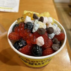 Yoloberry Yogurt - Frozen Yogurt (tart and pineapple) with many toppings