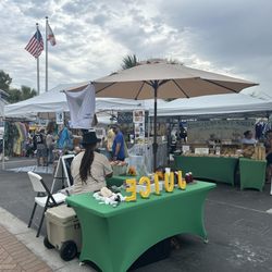 Siesta Key Farmers Market - Fresh juice, soaps, handmade linens, crafts/art