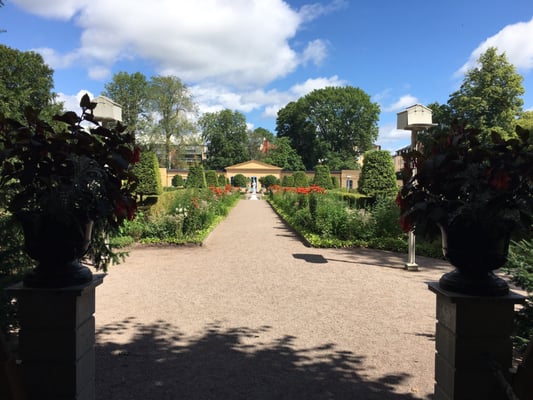 Linnaeus garden by null