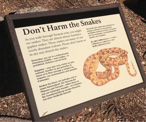 Tusayan Ruin by null