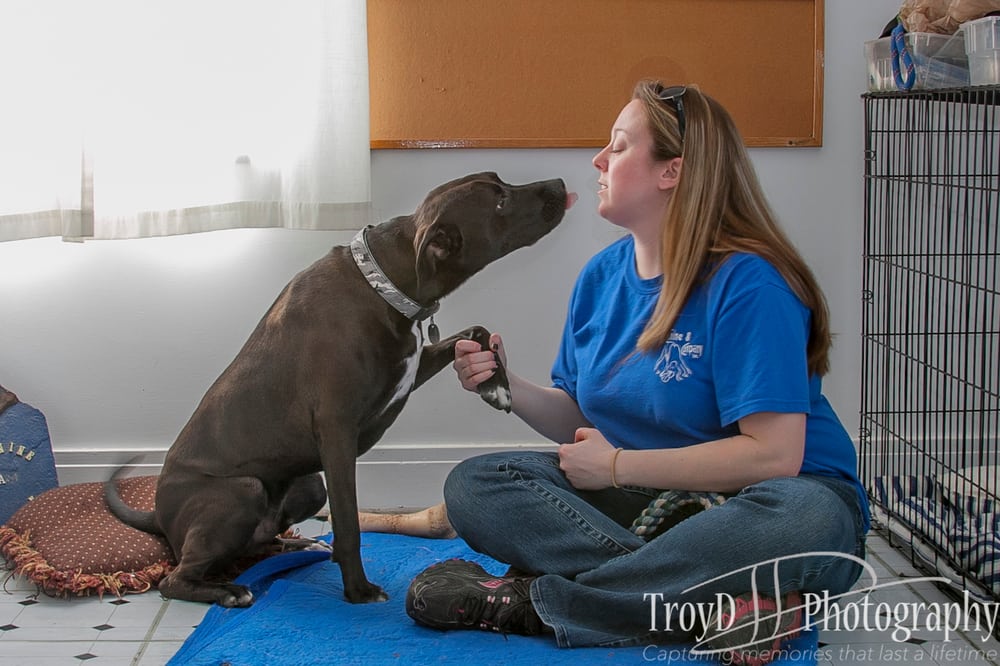Canine & Company - pet boarding facility in Depew, NY
