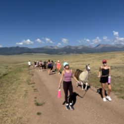 Llama Trekking By Lookin Up Outfitters - Outdoor experience