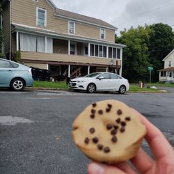 Syracuse Cooperative Market - Sat on the curb with my coffee and donut, and the new plant I bought that we lovingly named David Foster Wallace. ;-)