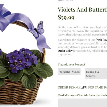 Flowers By Nora - The original order is violets, which is NOTHING like what she received. No butterflies, no violets. - Floral Designers Near Me Flowers By Nora - The original order is violets, which is NOTHING like what she received. No butterflies, no violets. - Floral Designers Near Me
