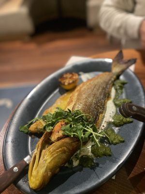 Meso Modern Mediterranean by null