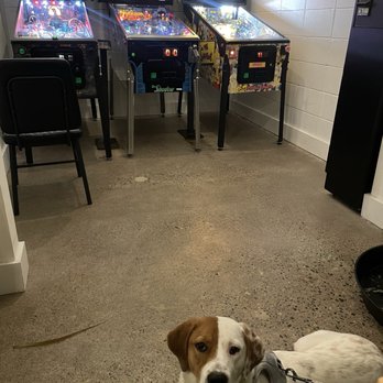 Wandering Leaf Brewing - Free! Pinball arcade machines - Breweries Near Me - Saint Paul, Minnesota