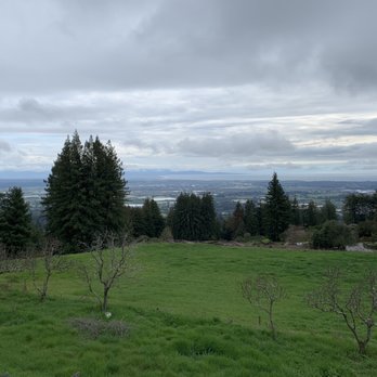 Sankat Mochan Hanuman Temple - Beautiful view - Hindu Temples Near Me - Watsonville, California