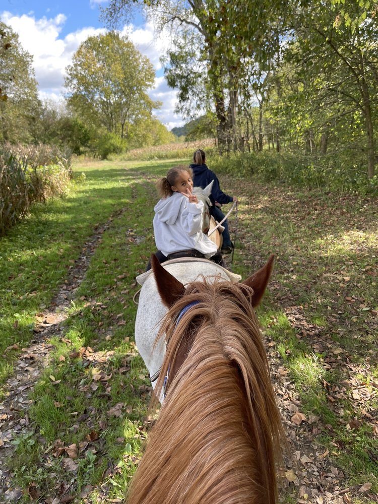 Salt Creek Ranch - equestrian in Laurel, IN