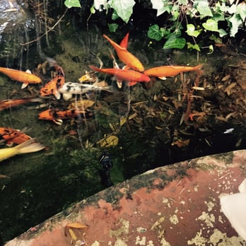 The Ranch House - Koi pond - Venues & Event Spaces Near Me - Ojai, California The Ranch House - Koi pond - Venues & Event Spaces Near Me - Ojai, California