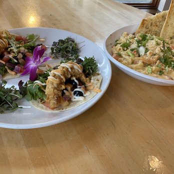 Testa's Bar & Grill - Maine Street Lobster Tacos and Lobster Mac & Cheese - Seafood Near Me - Bar Harbor, Maine Testa's Bar & Grill - Maine Street Lobster Tacos and Lobster Mac & Cheese - Seafood Near Me - Bar Harbor, Maine