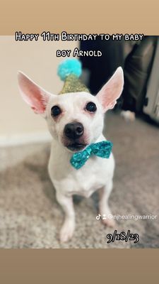 Uncle Bear's Grill & Tap - Greenfield by null