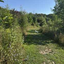 Grand Ravines Dog Park