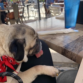 Bubba’s Bones & Brews - After hiking..... - Gastropubs Near Me - Cathedral City, California Bubba’s Bones & Brews - After hiking..... - Gastropubs Near Me - Cathedral City, California