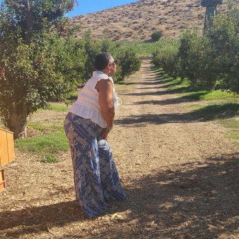 Bloom Ranch Of Acton - Mom from Arkansas - Farms Near Me - Acton, California