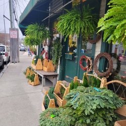 The Mystic Florist - Outside - you can also purchase potted plants